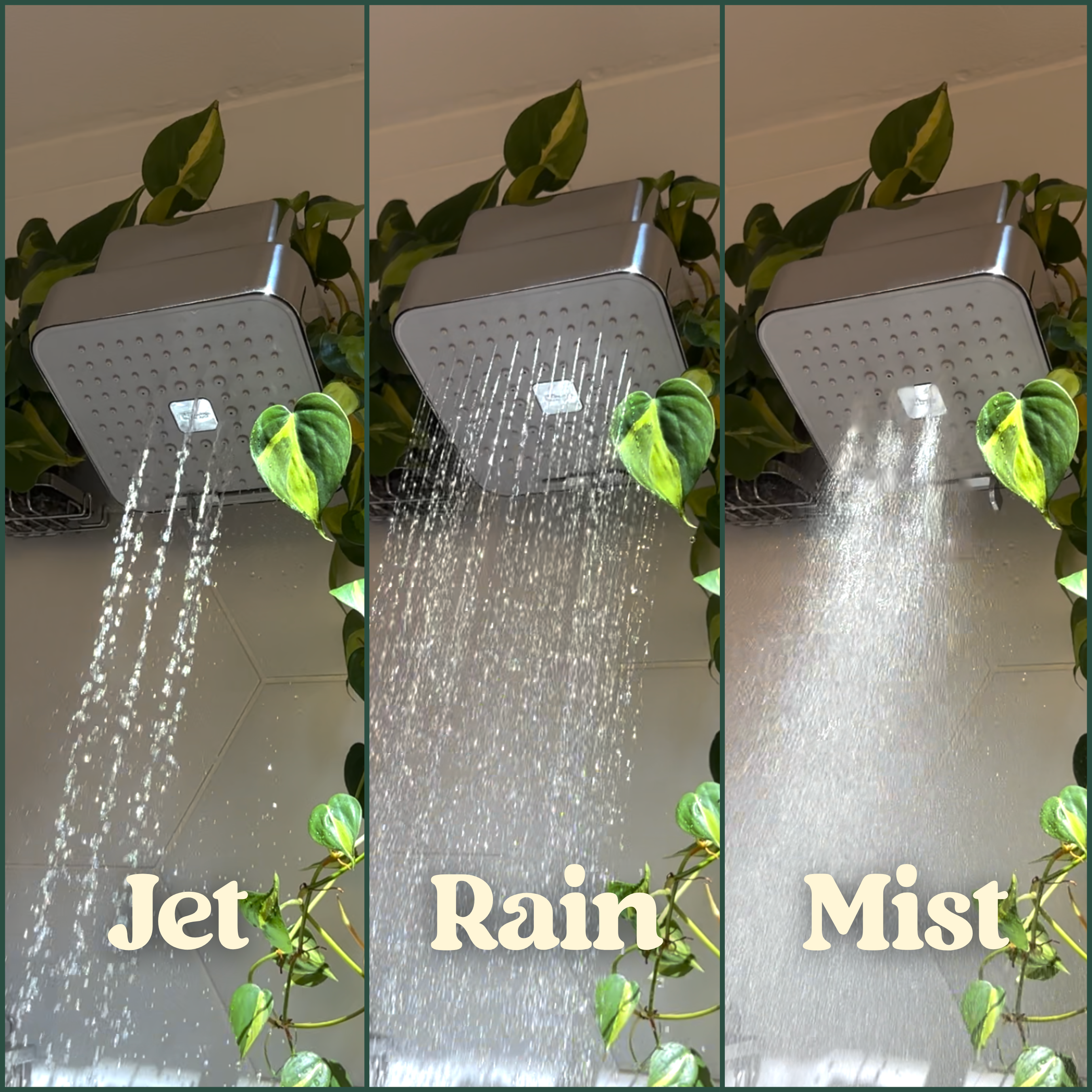 Vitamin C Filtered Showerhead