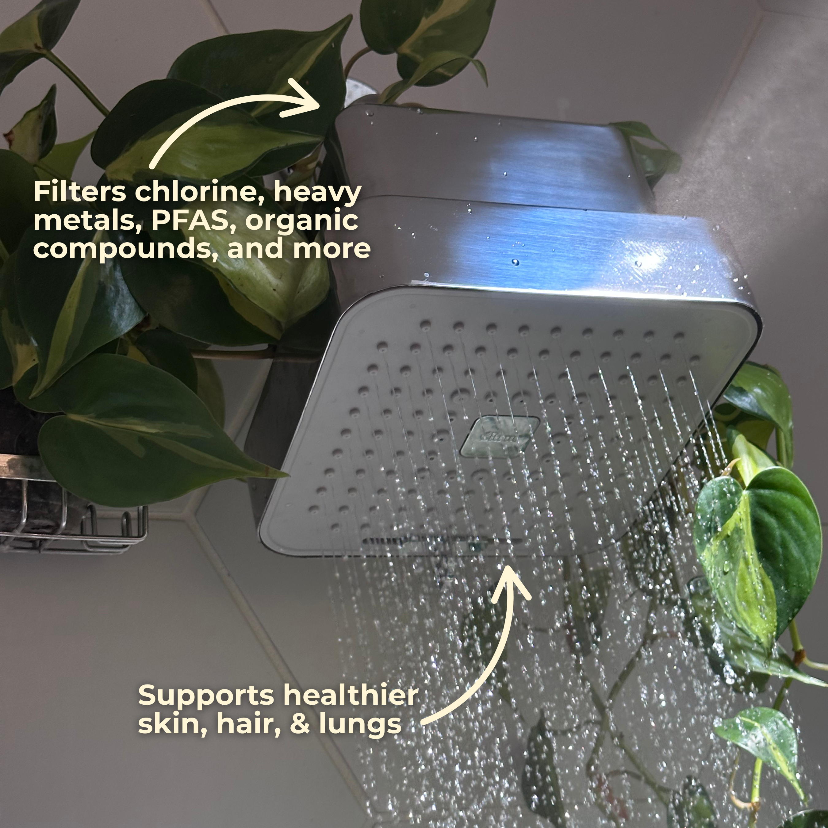 Vitamin C Filtered Showerhead
